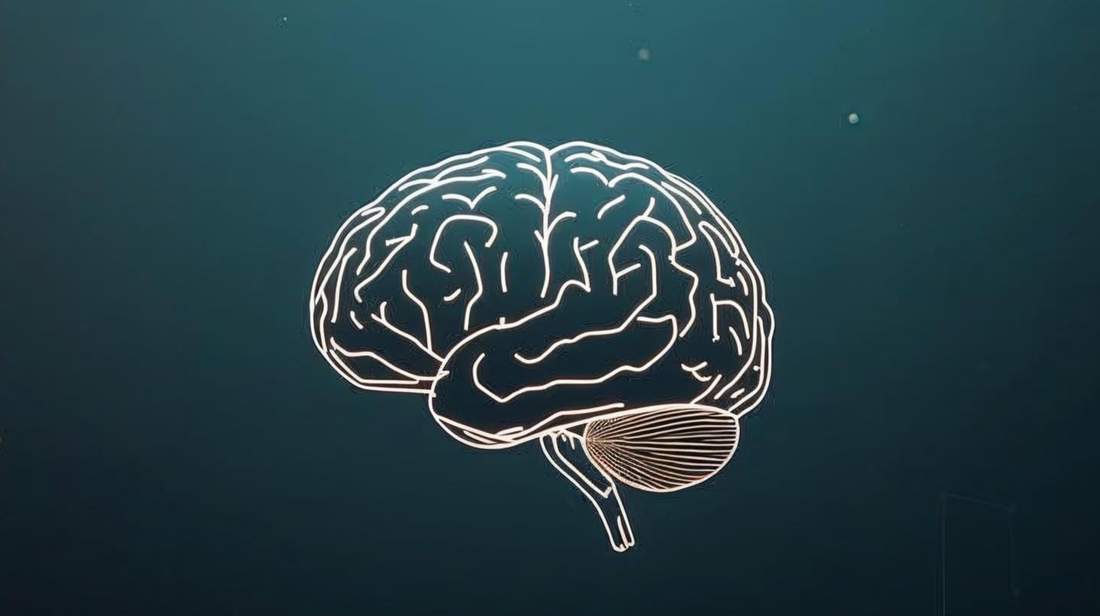 Creatine: Beyond the Biceps – The Surprising Health Benefits for Everyone!