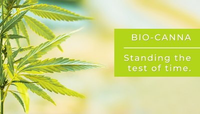 Bio-canna (CBD) - Standing the test of time