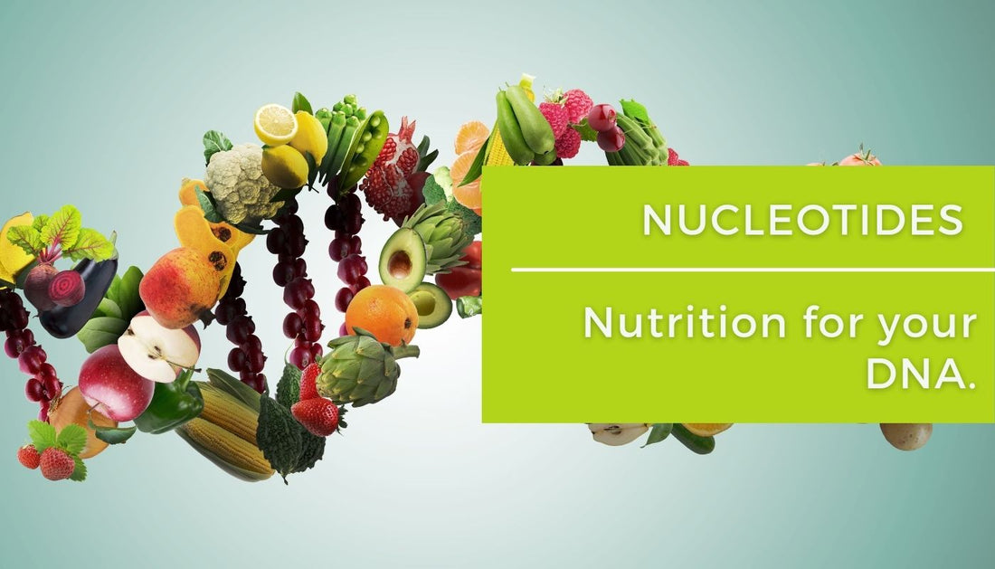 Nutrition for your DNA