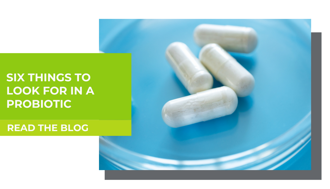 Six things to look for in a probiotic