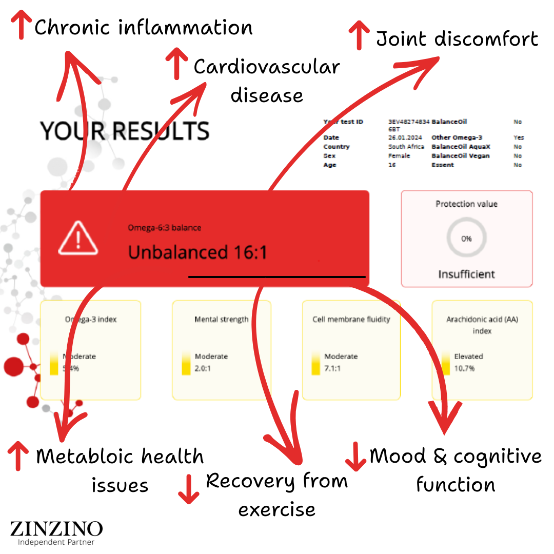 Zinzino Balance Test | The Gold Standard in Omega 6:3 Ratio | Test Kit