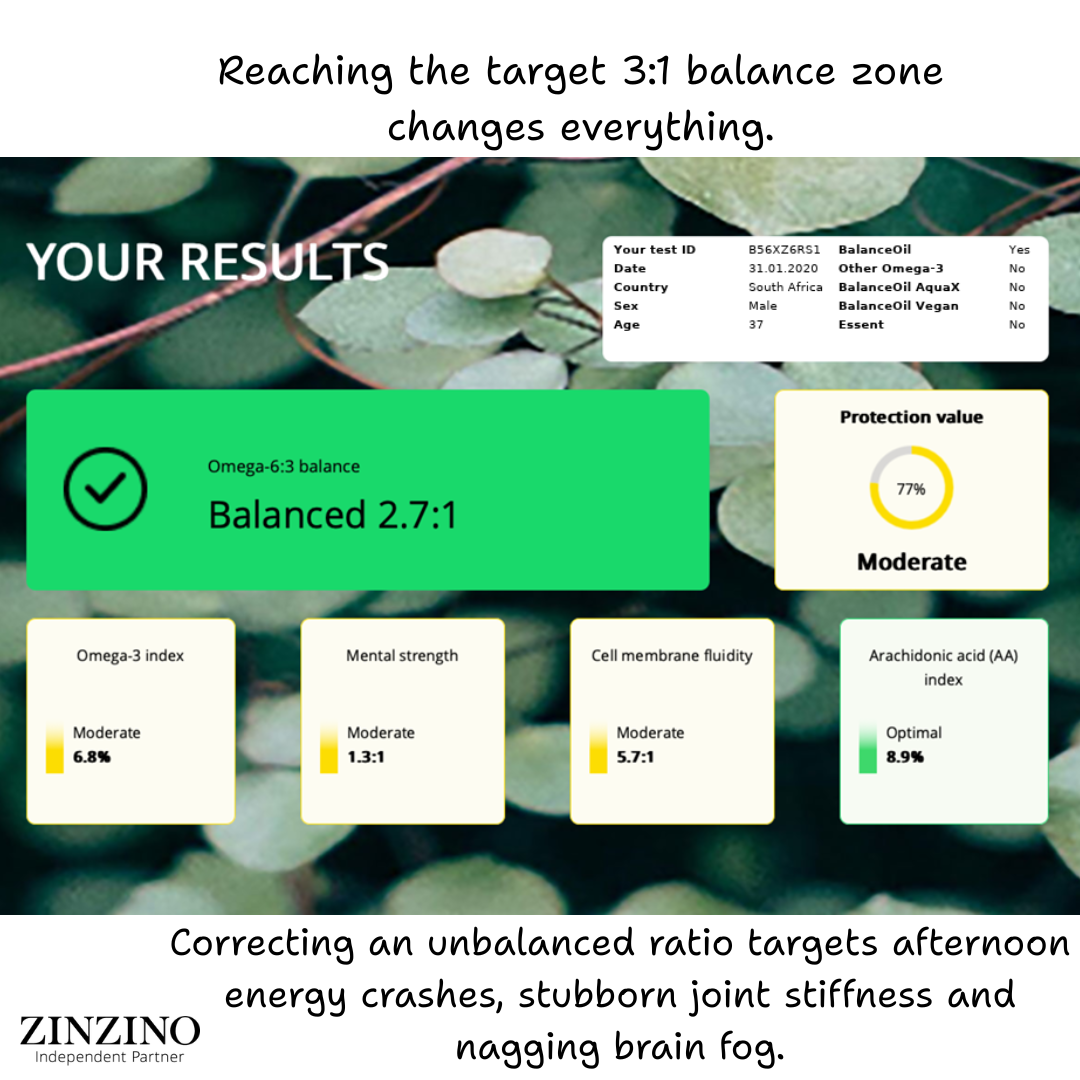Zinzino Balance Test | The Gold Standard in Omega 6:3 Ratio | Test Kit