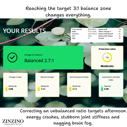 Zinzino Balance Test | The Gold Standard in Omega 6:3 Ratio | Test Kit