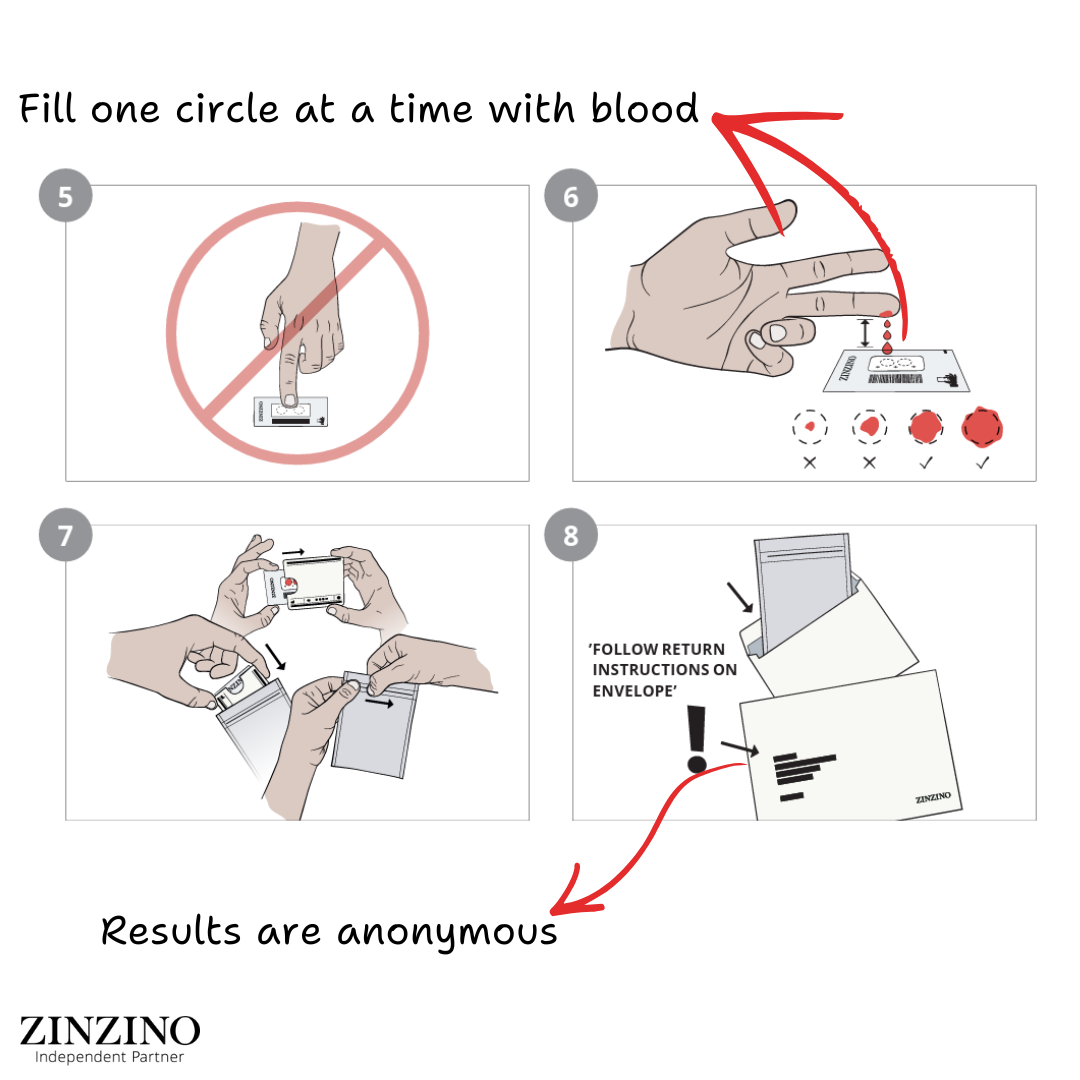 Zinzino Balance Test | The Gold Standard in Omega 6:3 Ratio | Test Kit